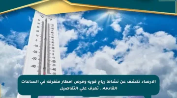 الأرصاد تكشف عن نشاط رياح قوية وفرص أمطار متفرقة في الساعات القادمة.. تعرف على التفاصيل